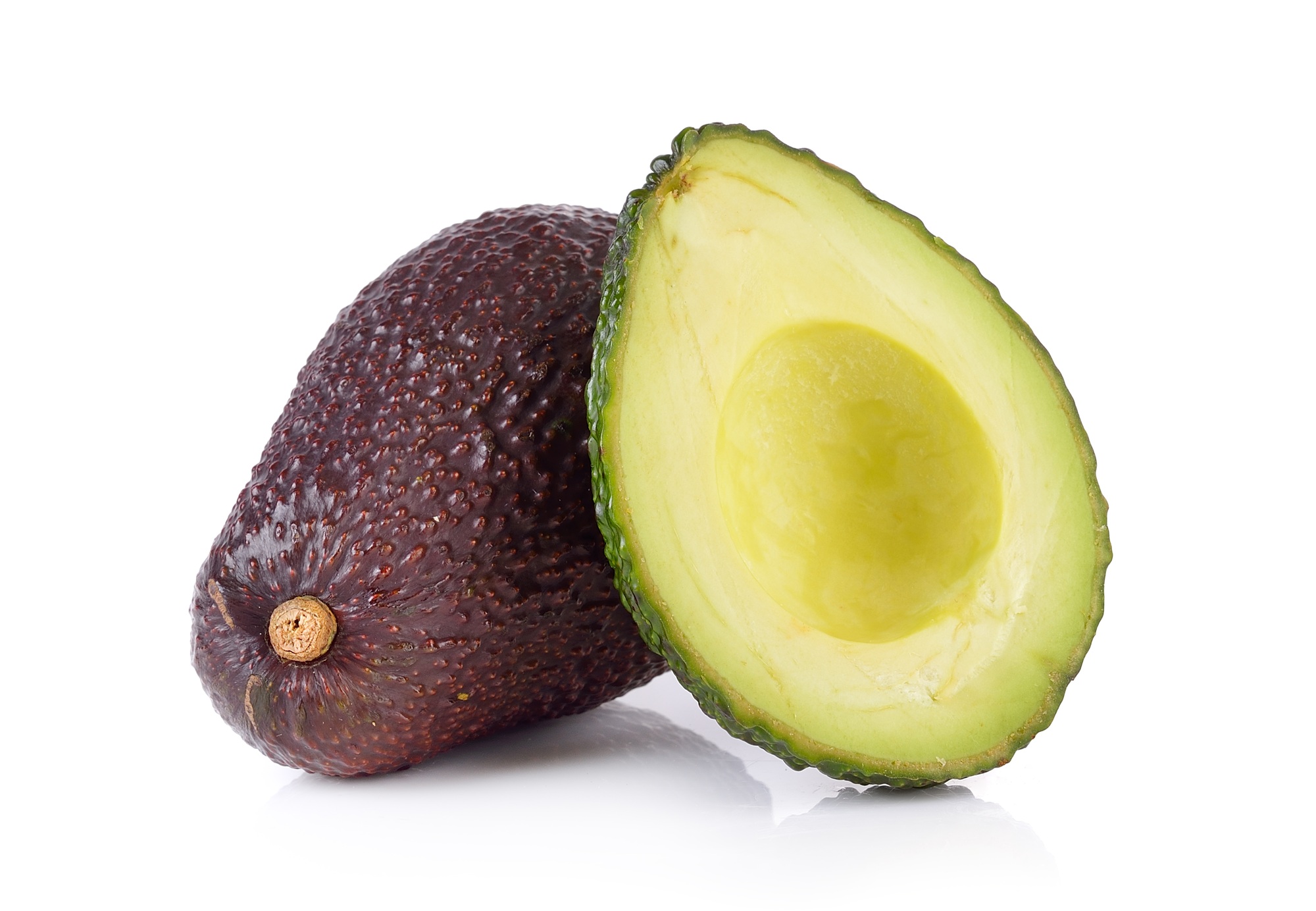 avocado on white background