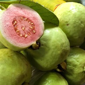 Guava