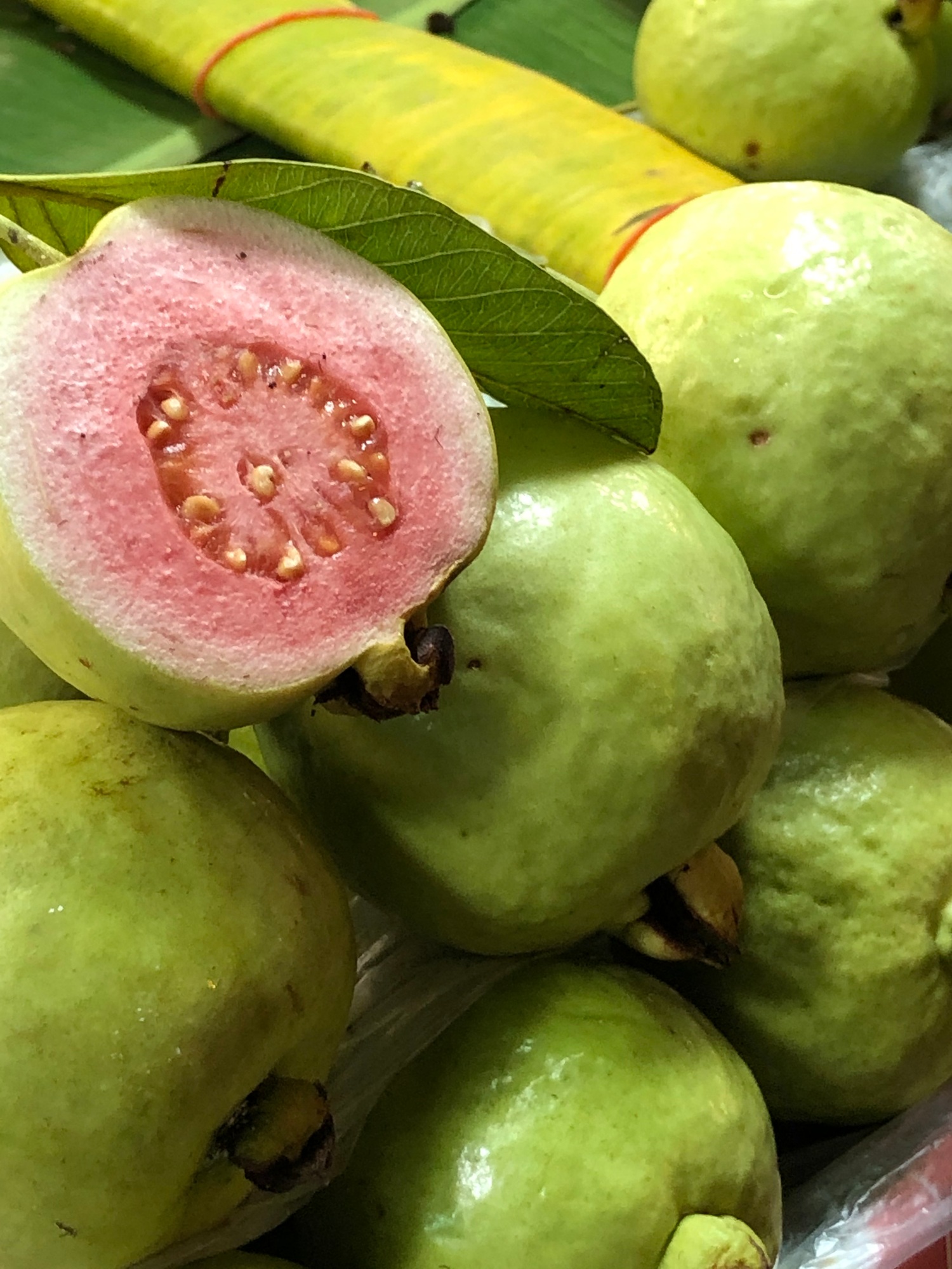 Guava