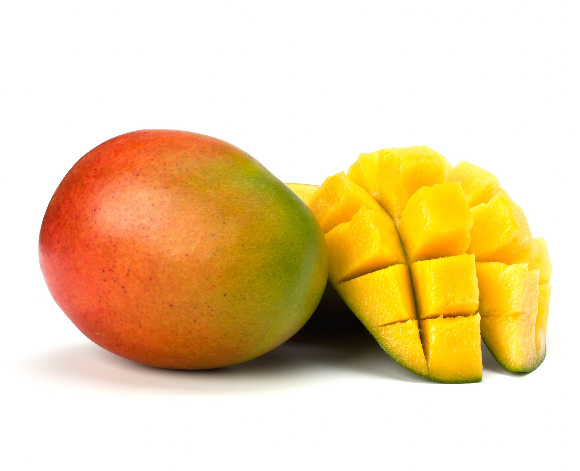 Mango fruit