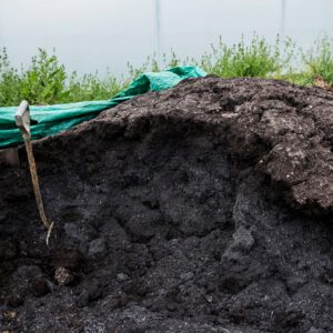 Two pitchforks in a heap of manure on a farm.