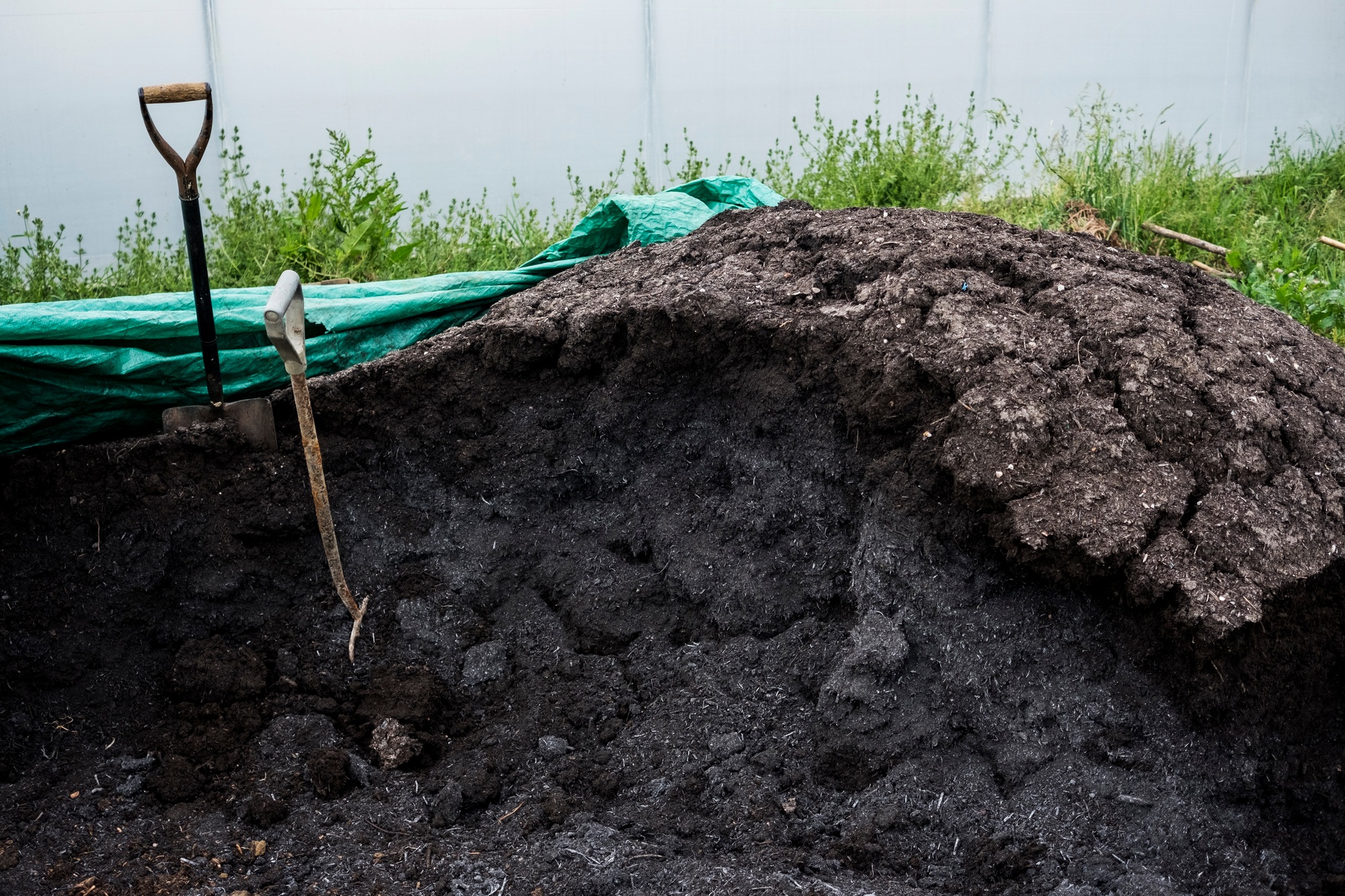 Two pitchforks in a heap of manure on a farm.